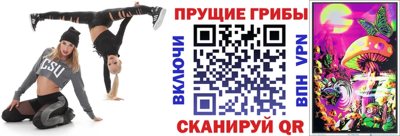 Псилоцибиновые грибы GOLDEN TEACHER  Усть-Кут 